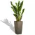 Zamioculcas w donicy Cubico Premium 30 Taupe