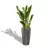 Zamioculcas w antracytowej donicy Lechuza Rondo 40