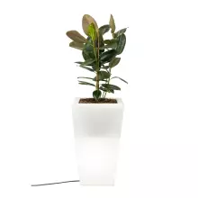 Donica z polietylenu SLIM LINE S light