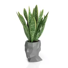 Doniczka z polietylenu ADONIS szary