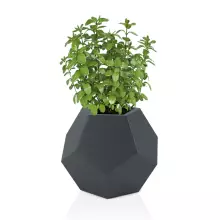 Donica z polietylenu ALMA 53 antracyt