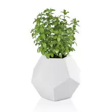 Donica z polietylenu ALMA 53 biały