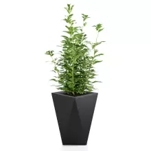 Donica z polietylenu VASO czarny