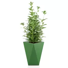 Donica z polietylenu VASO limonka