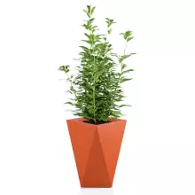 Donica z polietylenu VASO pomarańczowy