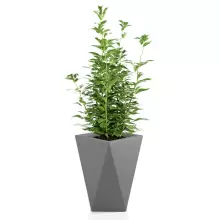 Donica z polietylenu VASO szary