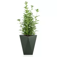 Donica z polietylenu VASO zielony