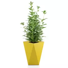 Donica z polietylenu VASO żółty