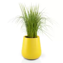 Donica z polietylenu LAGO żółty