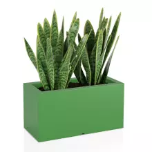 Donica z polietylenu LUNGO limonka