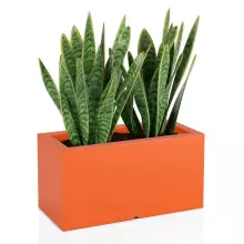 Donica z polietylenu LUNGO pomarańczowy