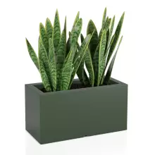 Donica z polietylenu LUNGO zielony