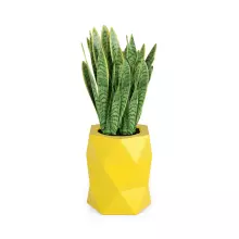 Donica z polietylenu MODENA żółty