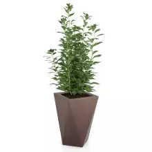 Donica z polietylenu VASO corten