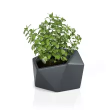 Donica z polietylenu VESARI 46 antracyt