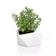 Donica z polietylenu VESARI 46 biały