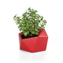 Donica z polietylenu VESARI 46 czerwony