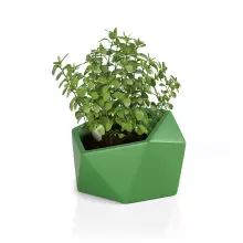 Donica z polietylenu VESARI 46 limonka