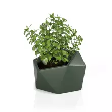 Donica z polietylenu VESARI 46 zielony