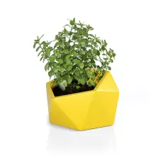 Donica z polietylenu VESARI 46 żółty