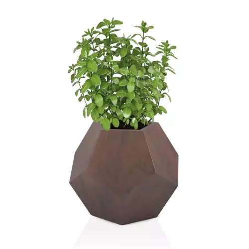 Brązowa donica Alma 53 - na zioła