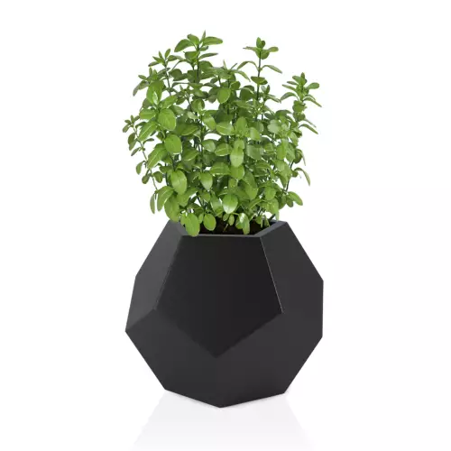 Czarna donica Alma 53 - na zioła