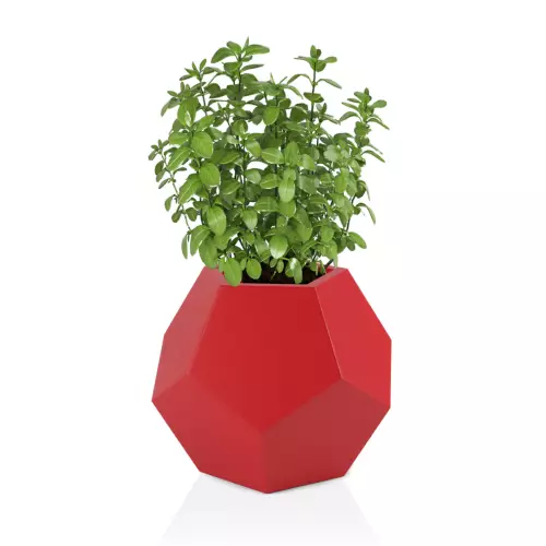 Czerwona donica Alma 53 - na zioła