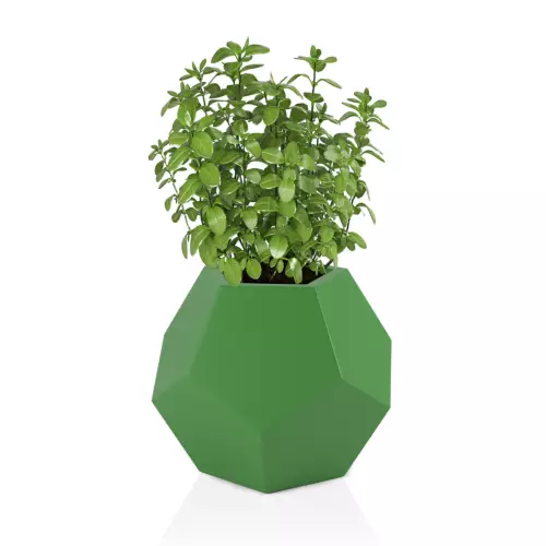 Limonkowa donica Alma 53 - na zioła