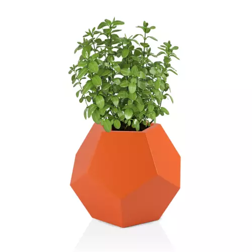 Pomarańczowa donica Alma 53 - na zioła
