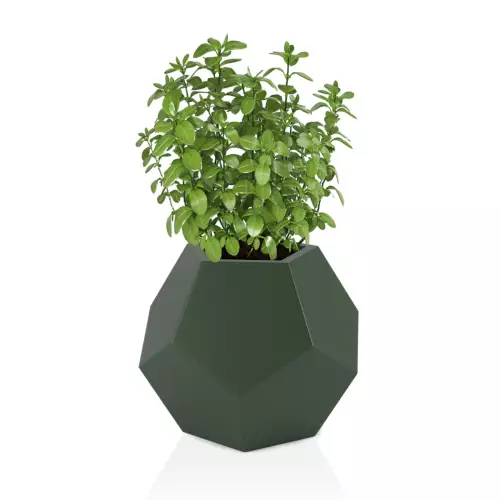 Zielona donica Alma 53 - na zioła