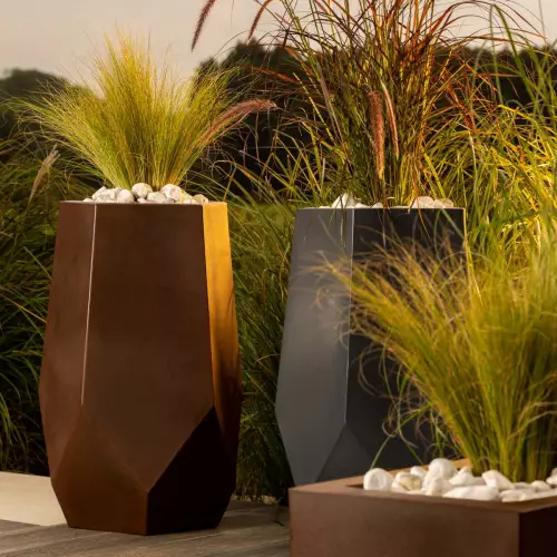 Trawy ozdobne w donicach Bari