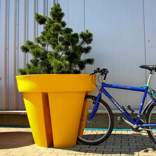 Żółty kwietnik miejski BIKEPOT