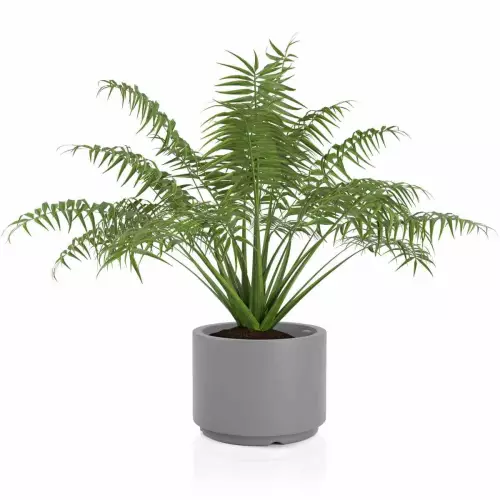 szara donica Cavo 45 z palmą