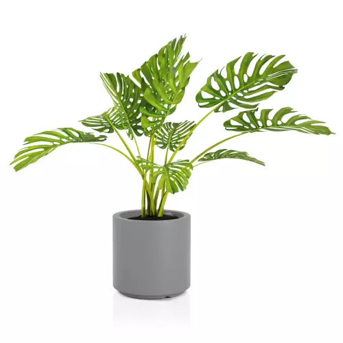 Szara donica Cavo z rośliną Monsteria