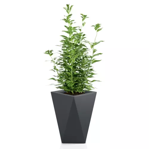 Antracytowa donica VASO