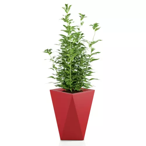 Czerwona donica VASO