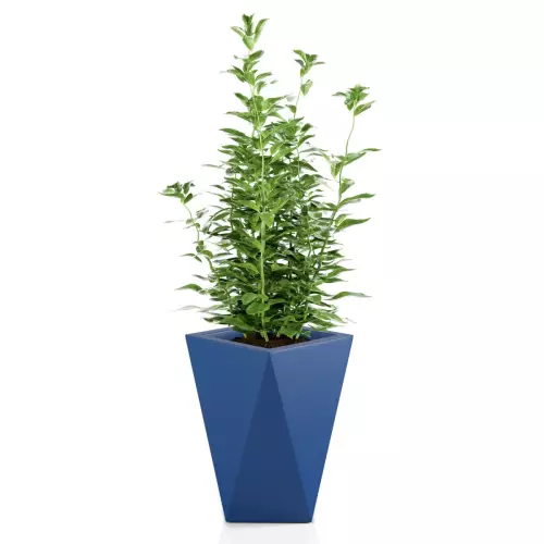 Niebieska donica VASO