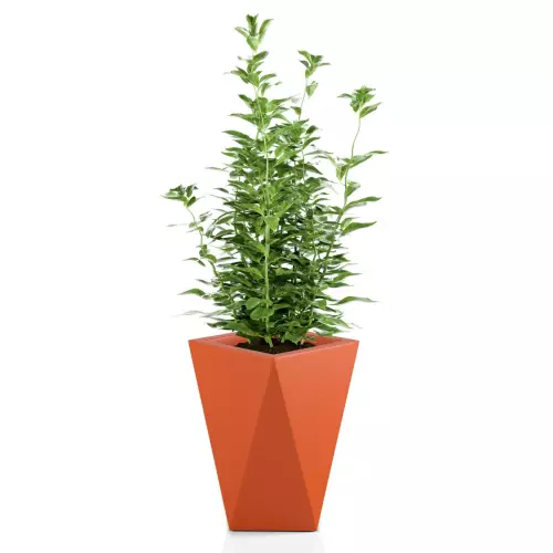 Donica VASO w kolorze pomarańczowym