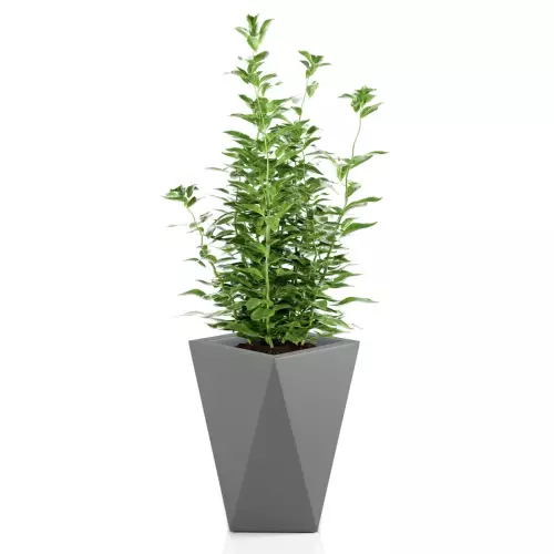 Donica VASO w kolorze szarym