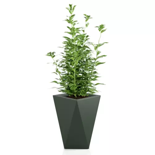 Donica VASO w kolorze zielonym