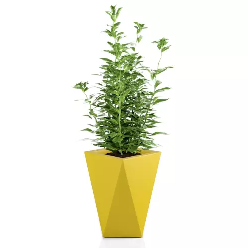 Donica VASO w kolorze żółtym