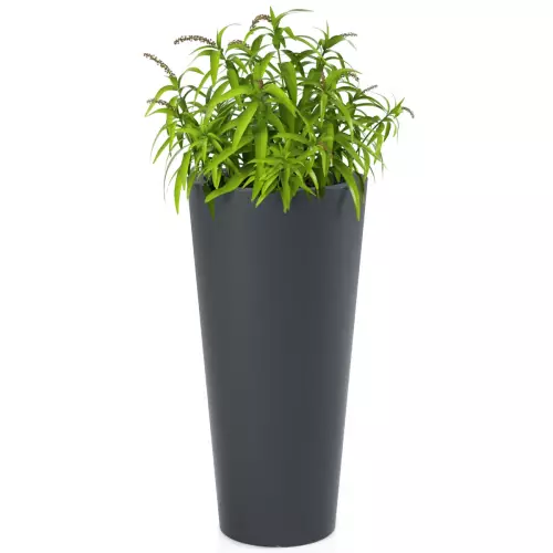 Antracytowa donica Habana M z trawą╔ ozdobną