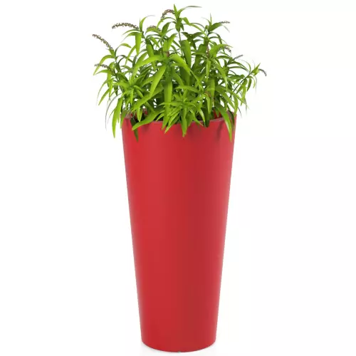 Trawa ozdobna w czerwonej donicy Habana M