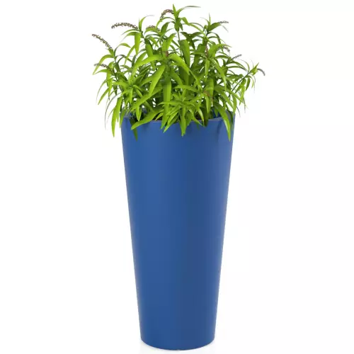 Trawa ozdobna w niebieskiej donicy Habana M