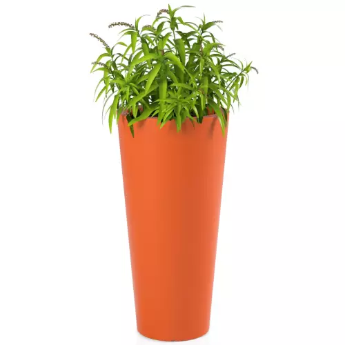 Trawa ozdobna w pomarańczowej donicy Habana M