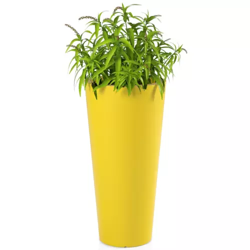 Trawa ozdobne w żółtej donicy Habana M