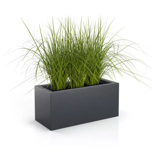 Trawy ozdobne w antracytowej donicy Long 90