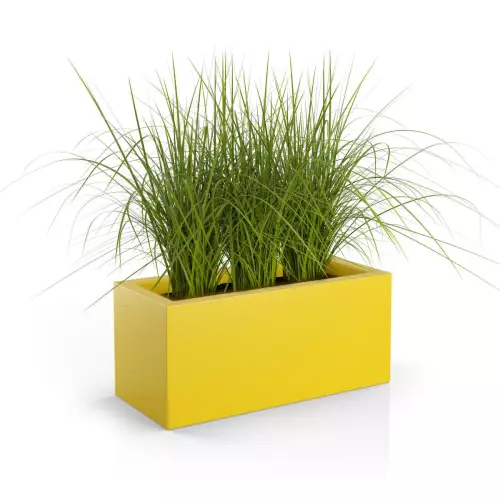 Trawy ozdobne w antracytowej donicy Long 90