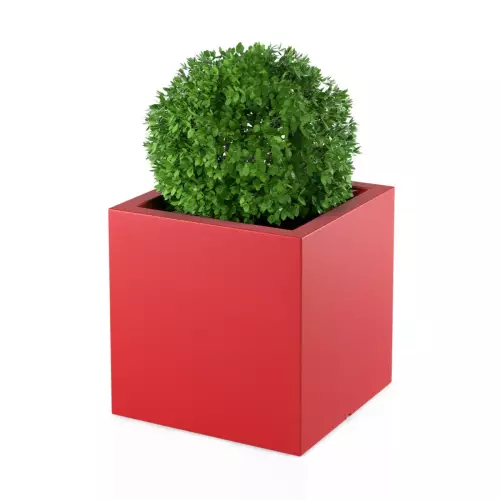 Bukszpan w czerwonej donicy PIXEL POT M