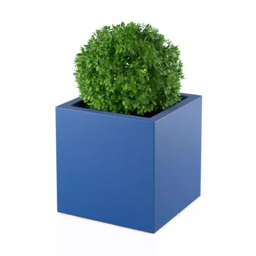 Bukszpan w niebieskiej donicy PIXEL POT M